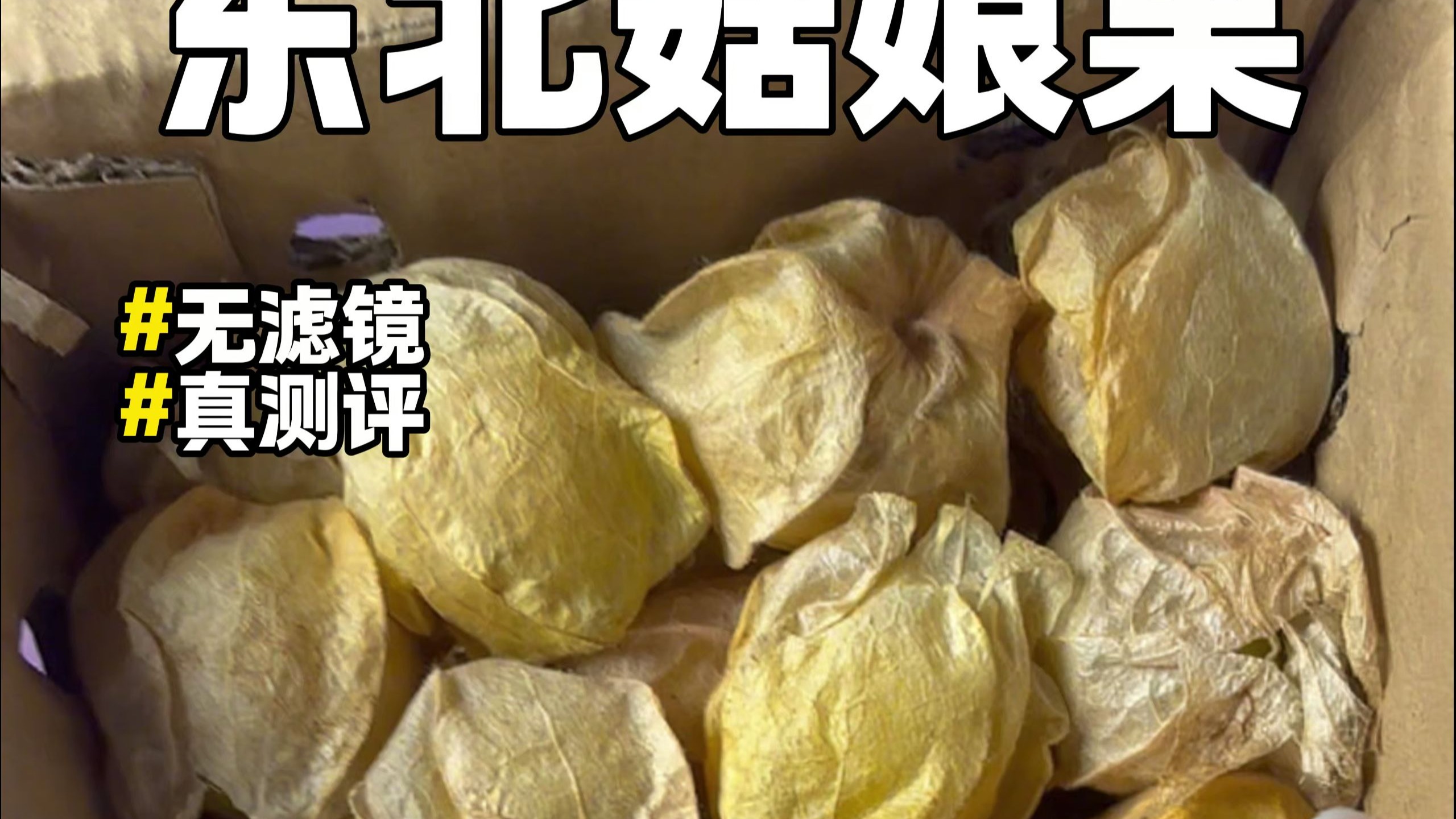 第108集丨测评13元一箱的东北菇娘果…
