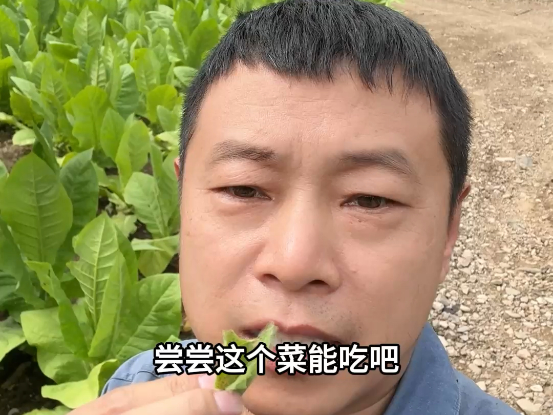 进嘴的却不是吃的