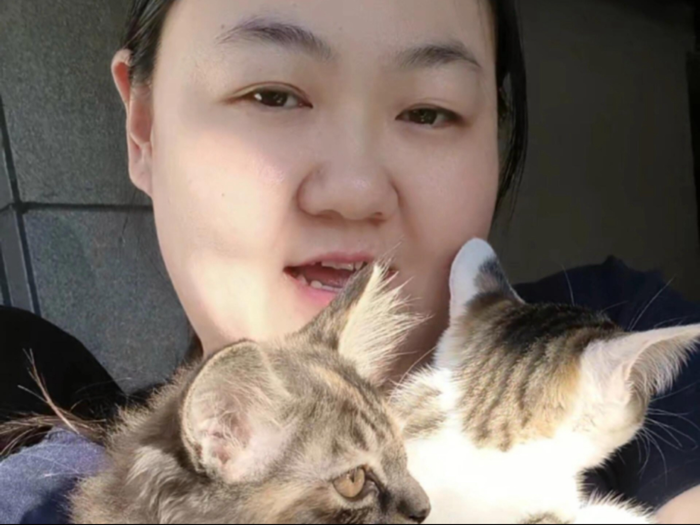请暂停一下恭喜我~又双叒叕猫了