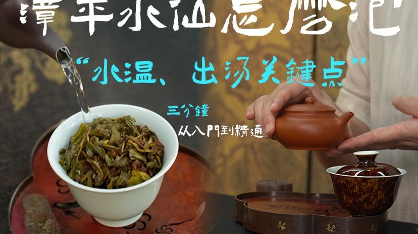 漳平水仙这样泡，好喝不涩