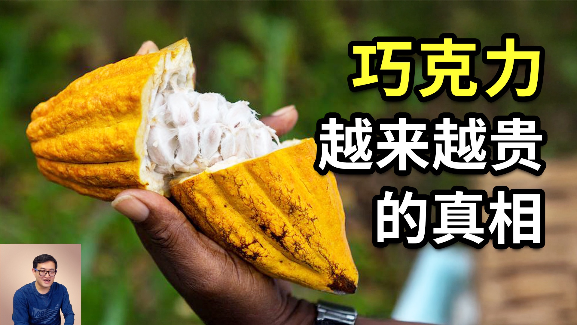 为什么说巧克力可能变成奢侈品？以后情人节还送得起吗？揭秘用热