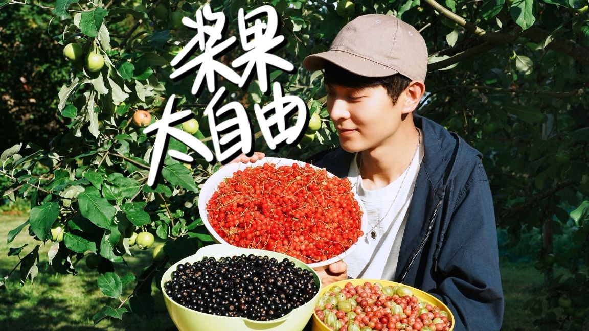 在芬兰买了个院子之后，年年浆果采到手抽筋