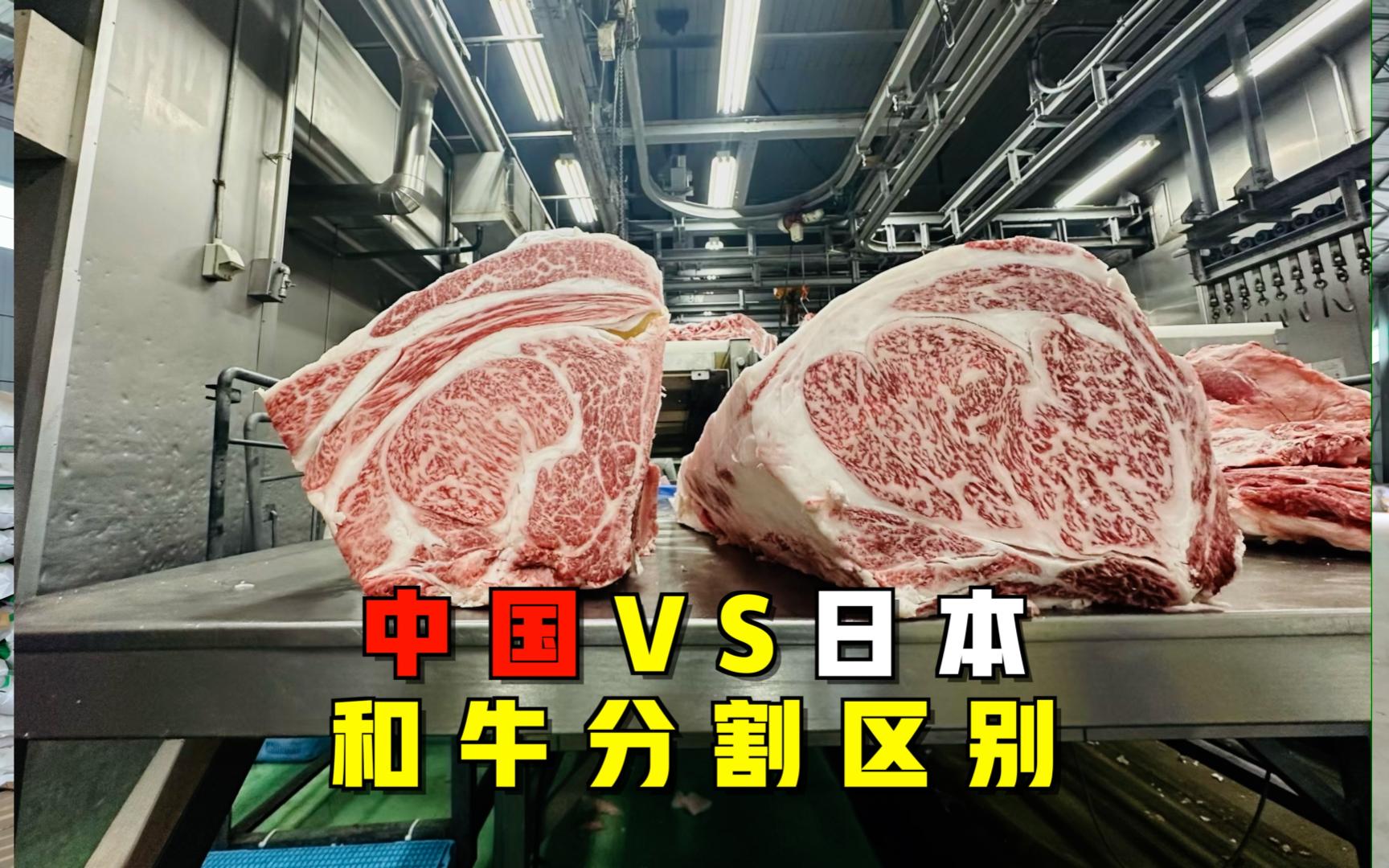 中国VS日本和牛分割区别