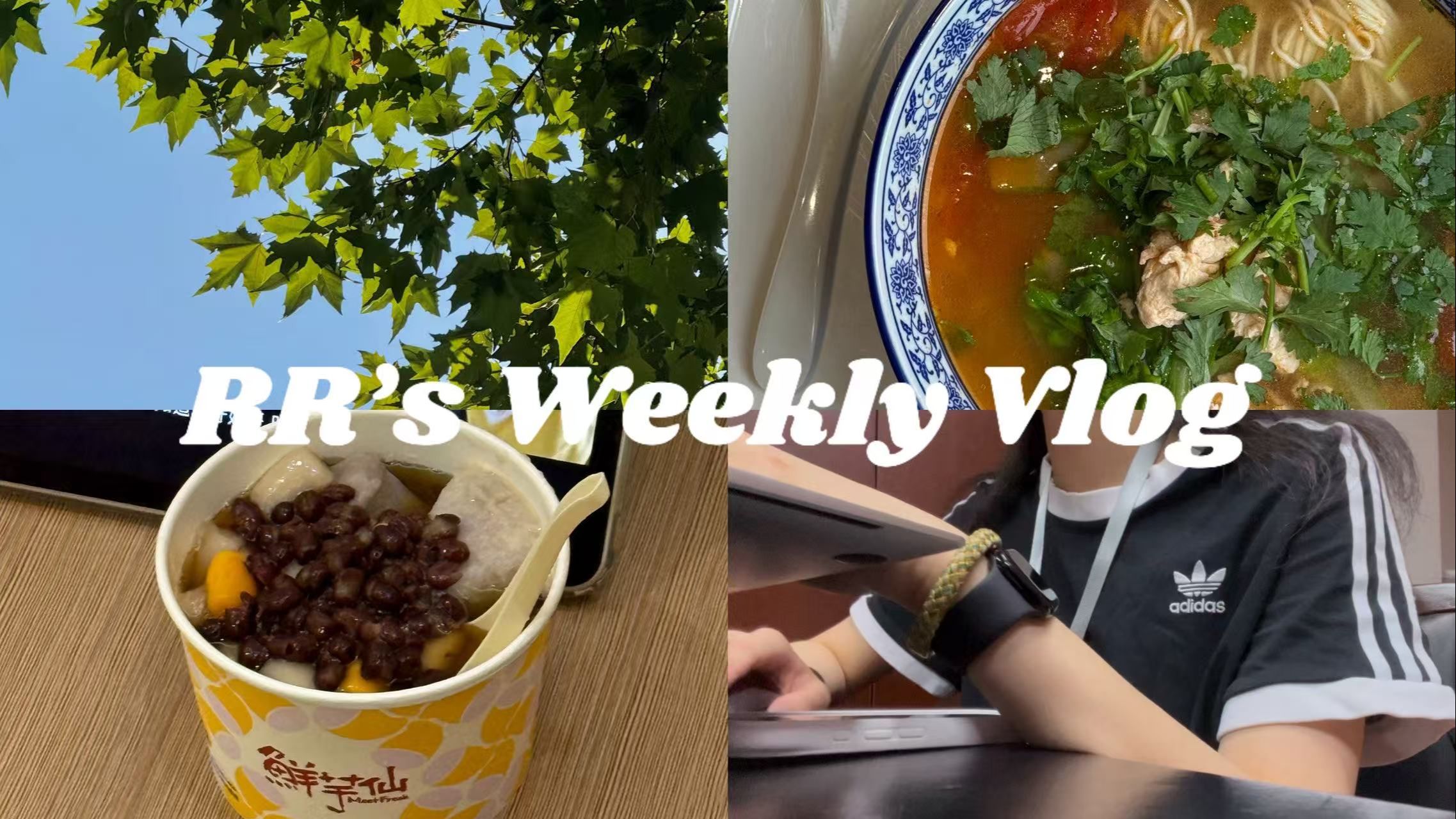 Vlog/离职&告别独居生活/八月的尾声/营养均衡的饮食记录/每
