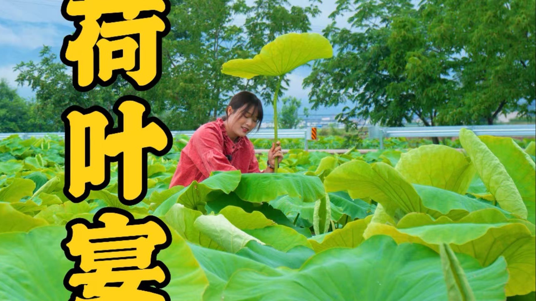 正是荷叶开满池，便是人间好时节～少不了包个荷叶鸡吃！你猜香不香