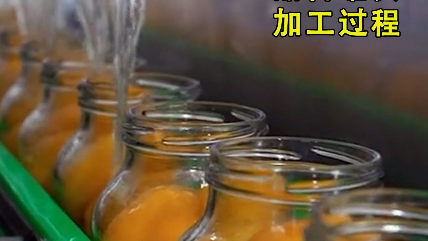 揭秘杏加工厂，用这种方法制作出，鲜甜可口的甜杏罐头