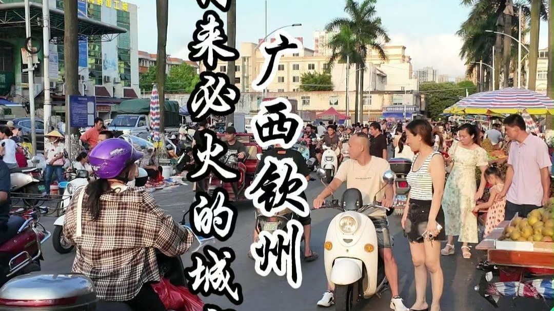 这期就是为了铺垫下一期我眼中的钦州