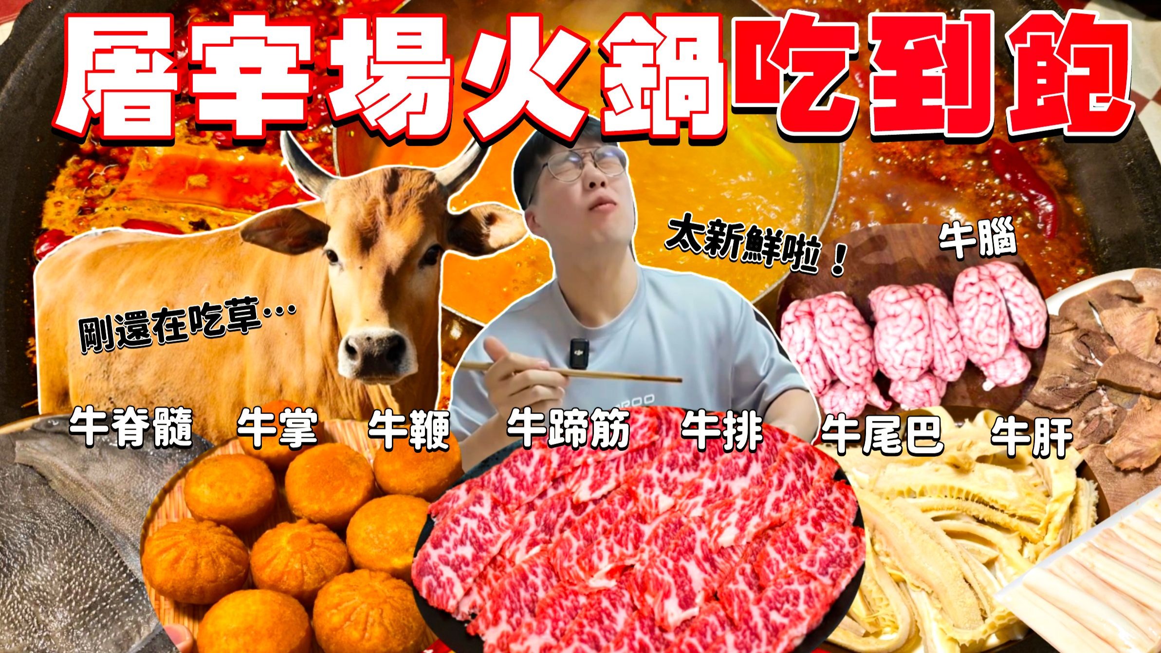 【豪想吃到飽】屠宰場吃到飽 會花多少錢？人生中沒吃過那麼新