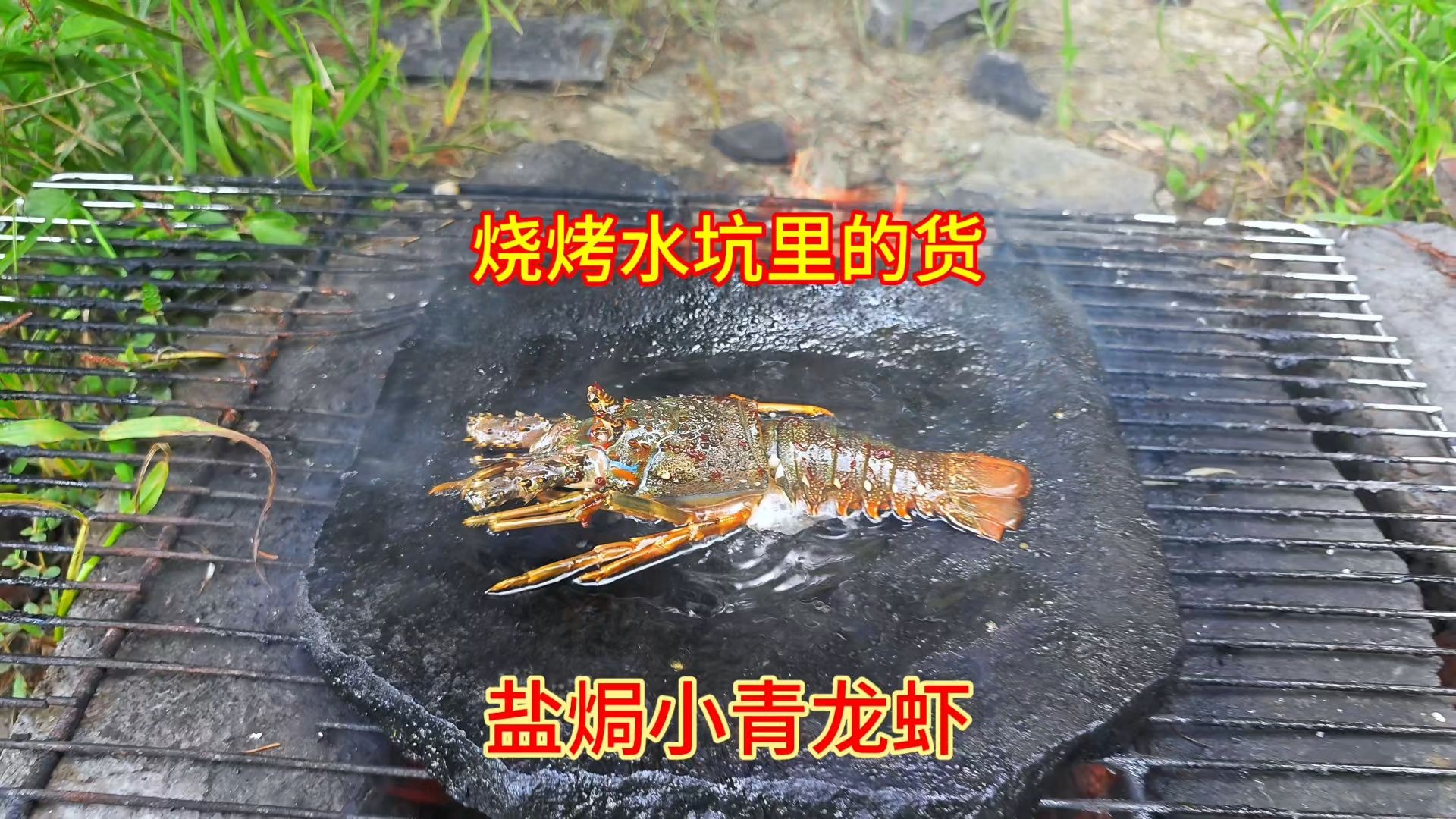 水坑的洞里捡了一只小青龙虾，放石板上烧烤盐焗龙虾，好吃极了
