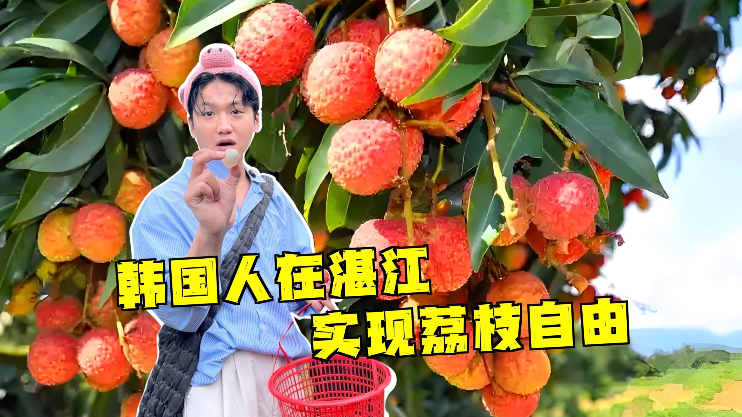 韩国人在湛江实现荔枝自由！吃完还去捞生蚝？？
