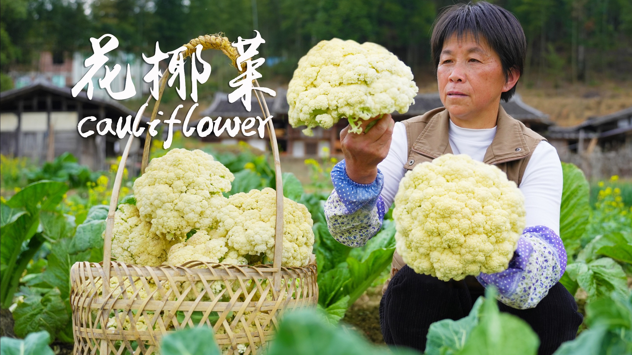 花菜又大又多，炖煮烤晒吃法百搭，还能做嘎嘣脆零食吃！