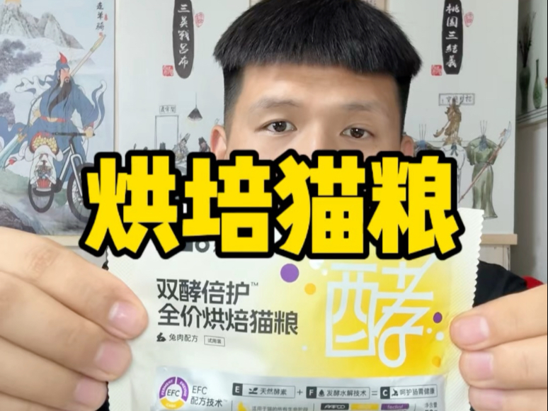 粉丝兄弟寄来的美食，烘培猫粮 ，感谢我龙灰羽兄弟的投喂！
