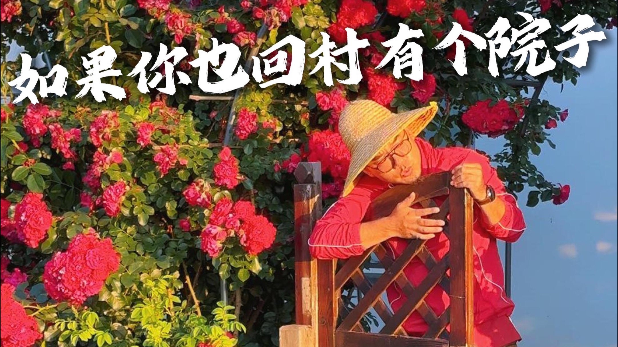 假如你回村有一个院子