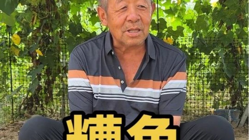 老姐今天回来了，老爸又特意做了一锅糟鱼，姐姐之前总说看老爸做