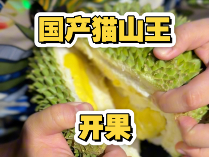 给国产榴莲更多的时间，至少将来我们不用再被迫高价买液氮冷冻