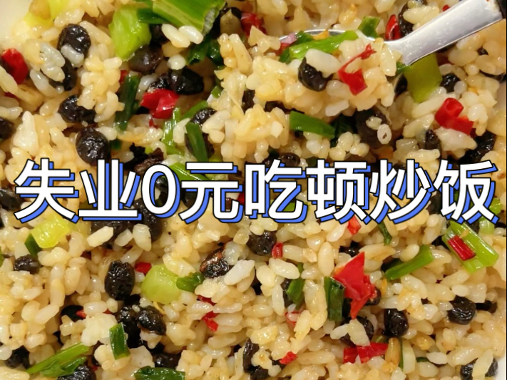 失业0元吃顿炒饭