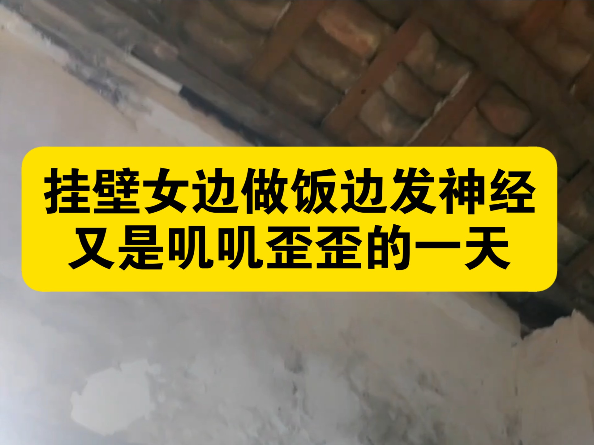 挂壁女别做饭边发神经，又是叽叽歪歪的一天