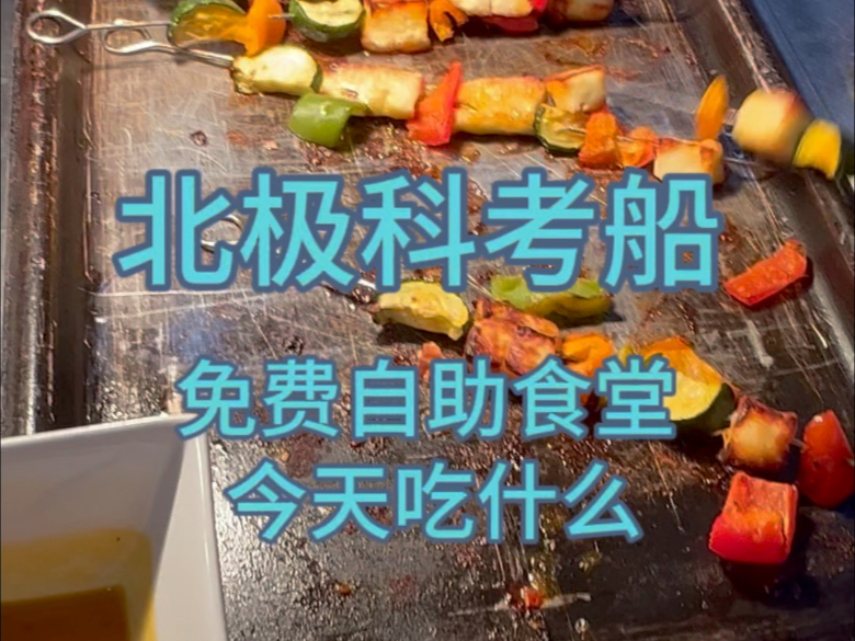 北极科考船的食堂今日吃啥（船上的女科学家们
