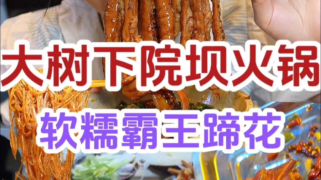 女巫的“毒药”火锅版，整个蹄花抱着啃太爽了～