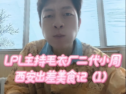 小周西安美食记（1）双椒鸡捞面加肉夹馍