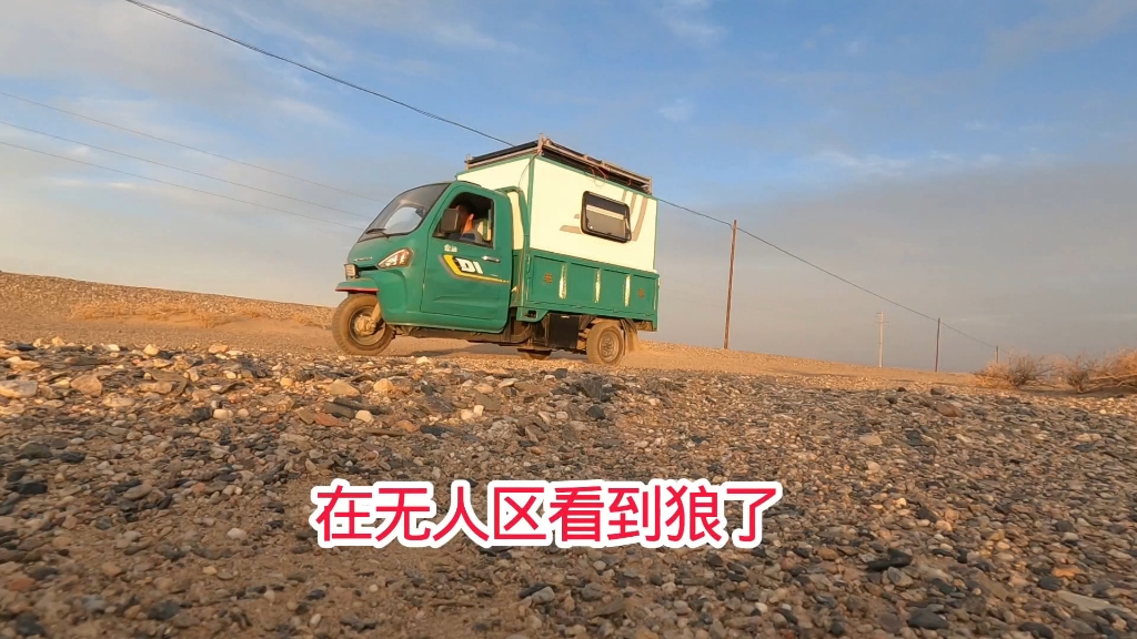 在无人区找到网络上传视频真庆幸，乱石堆里发现狼的踪迹晚上做