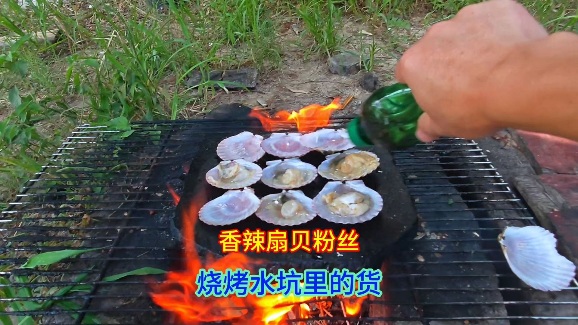 水坑里捡了5个扇贝，放石板上烧烤扇贝粉丝，香辣鲜美太好吃了