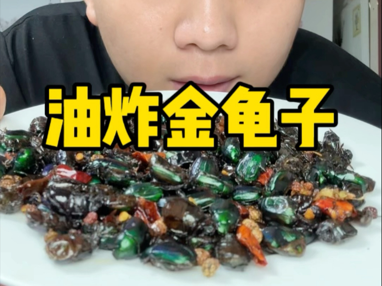 粉丝兄弟寄来的美食，油炸金龟子，感谢知我大哥，子见兄弟的投喂！
