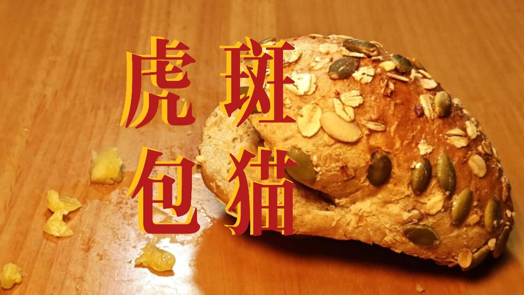 虎斑包猫