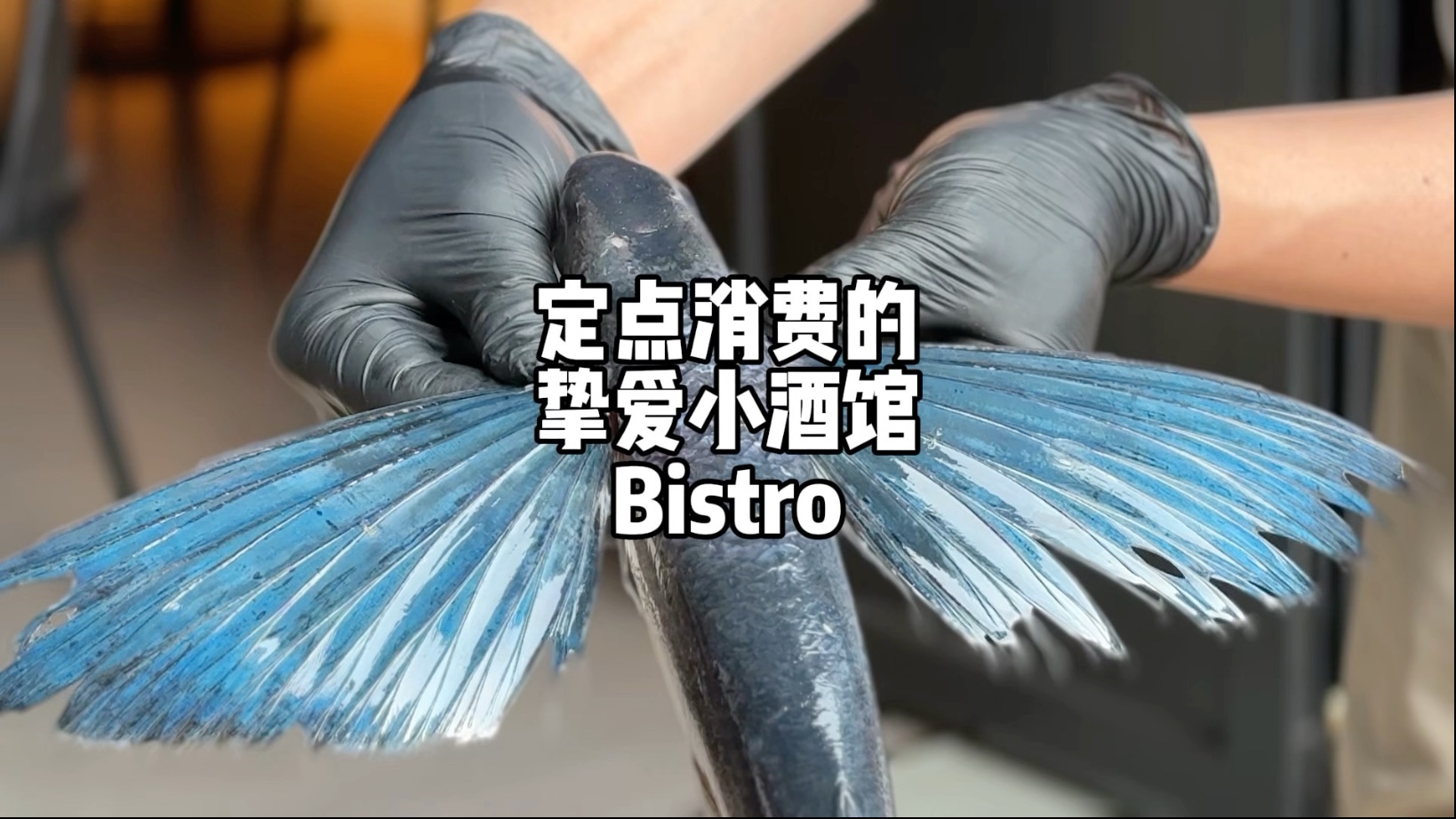 定点吃喝的新欢挚爱bistro小酒馆，不贵那种