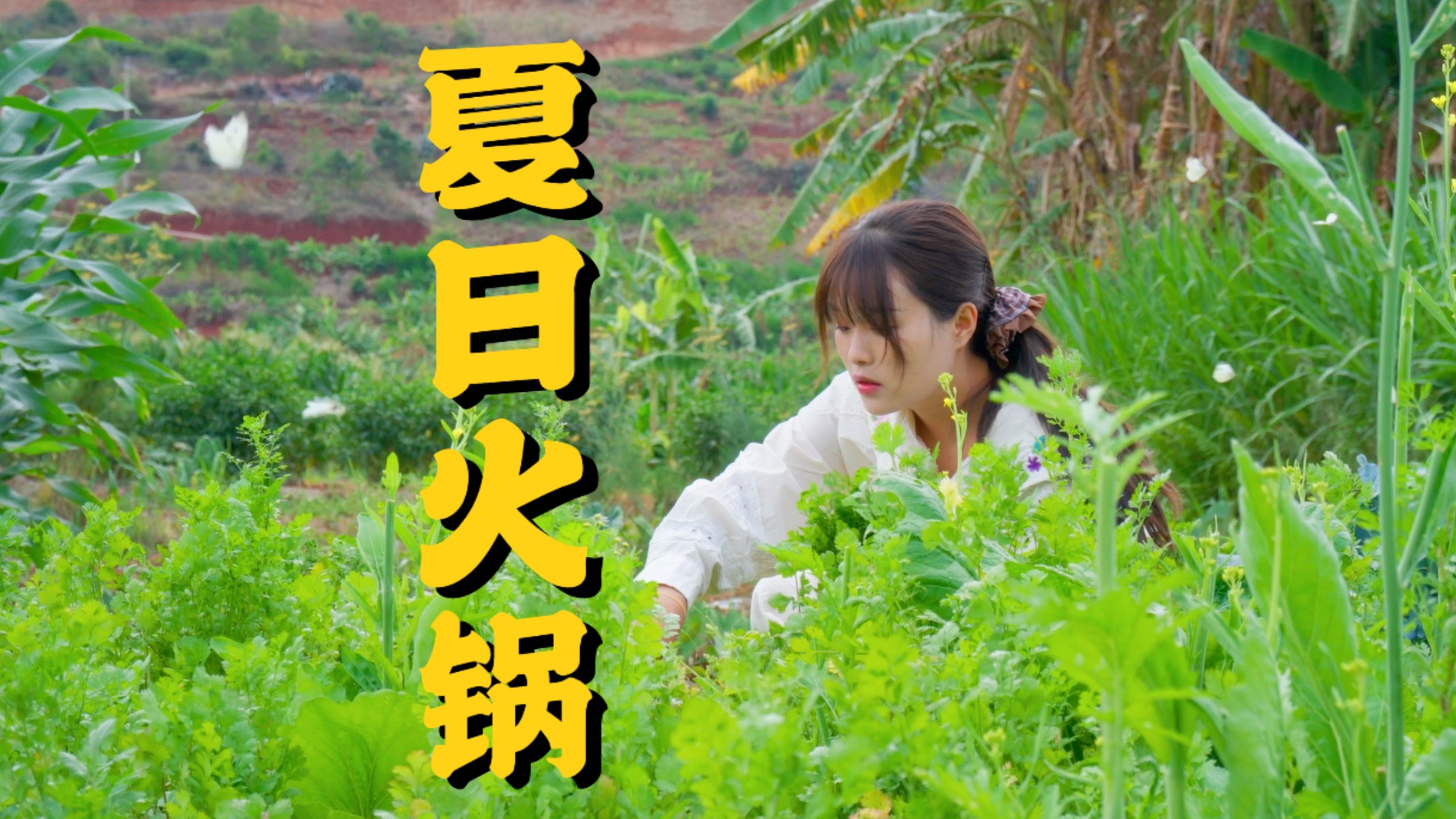 新鲜蔬菜吃到爽！云南火锅的舒适感～