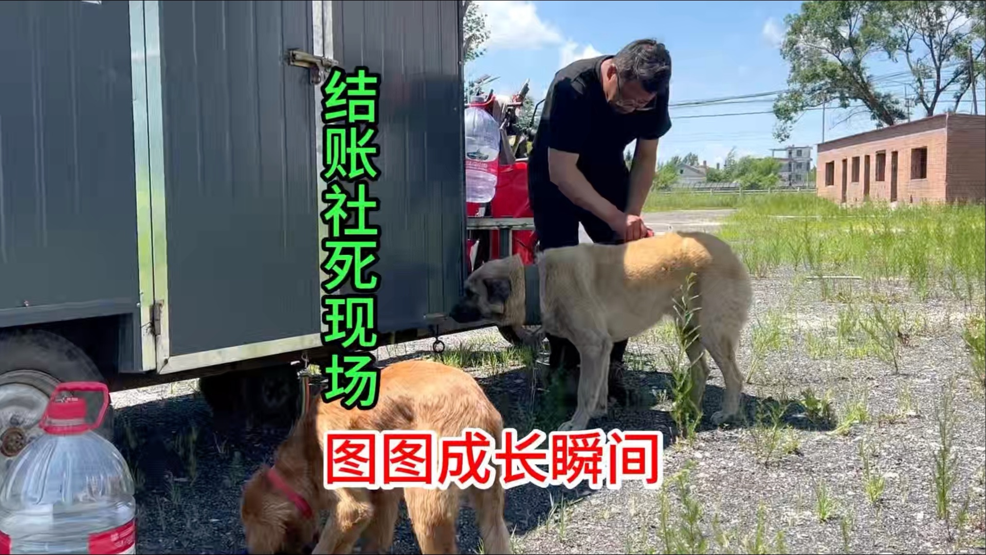 镇里买菜碰到一个尴尬事，晚上换菜谱不换面食。