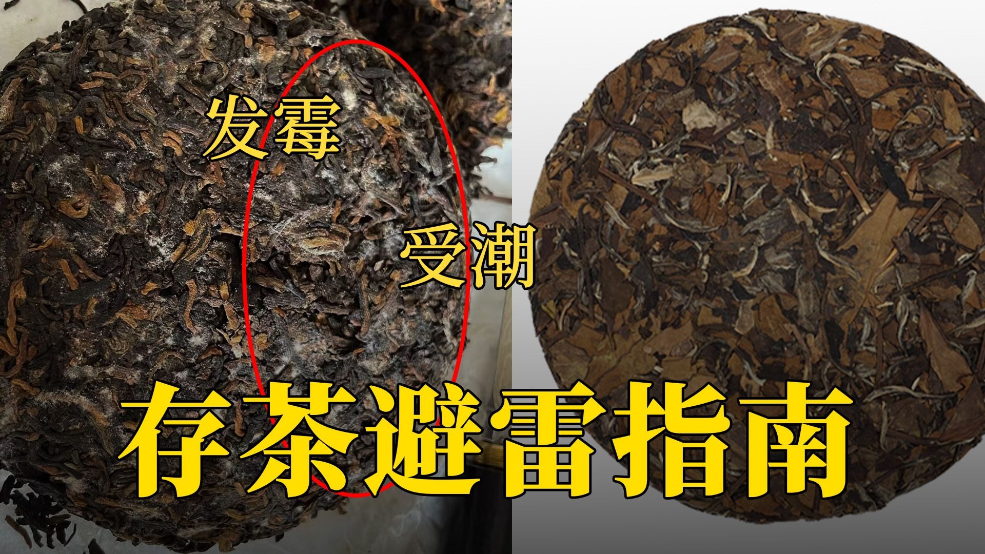 你家茶叶正在慢性自杀！存茶避雷指南！