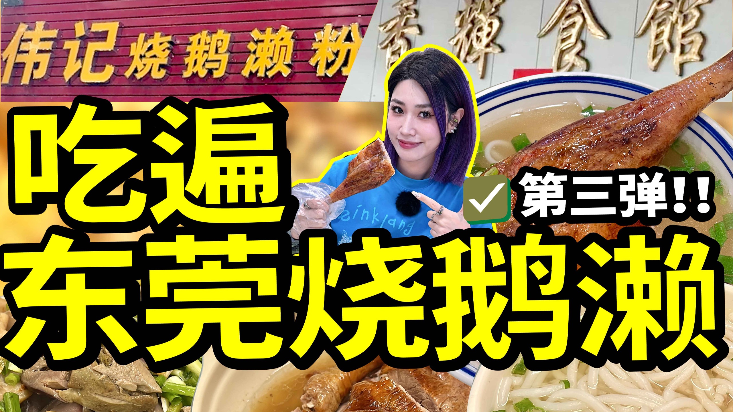 一碗烧鹅百种味，哪间才是东莞真风味？吃完还想再来！！