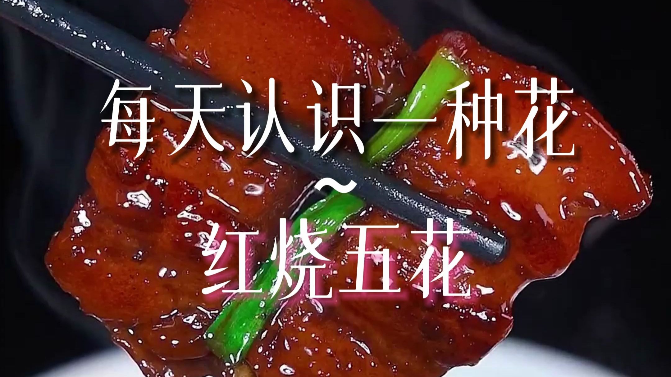 纯艺术创作（特摄11.0）五花