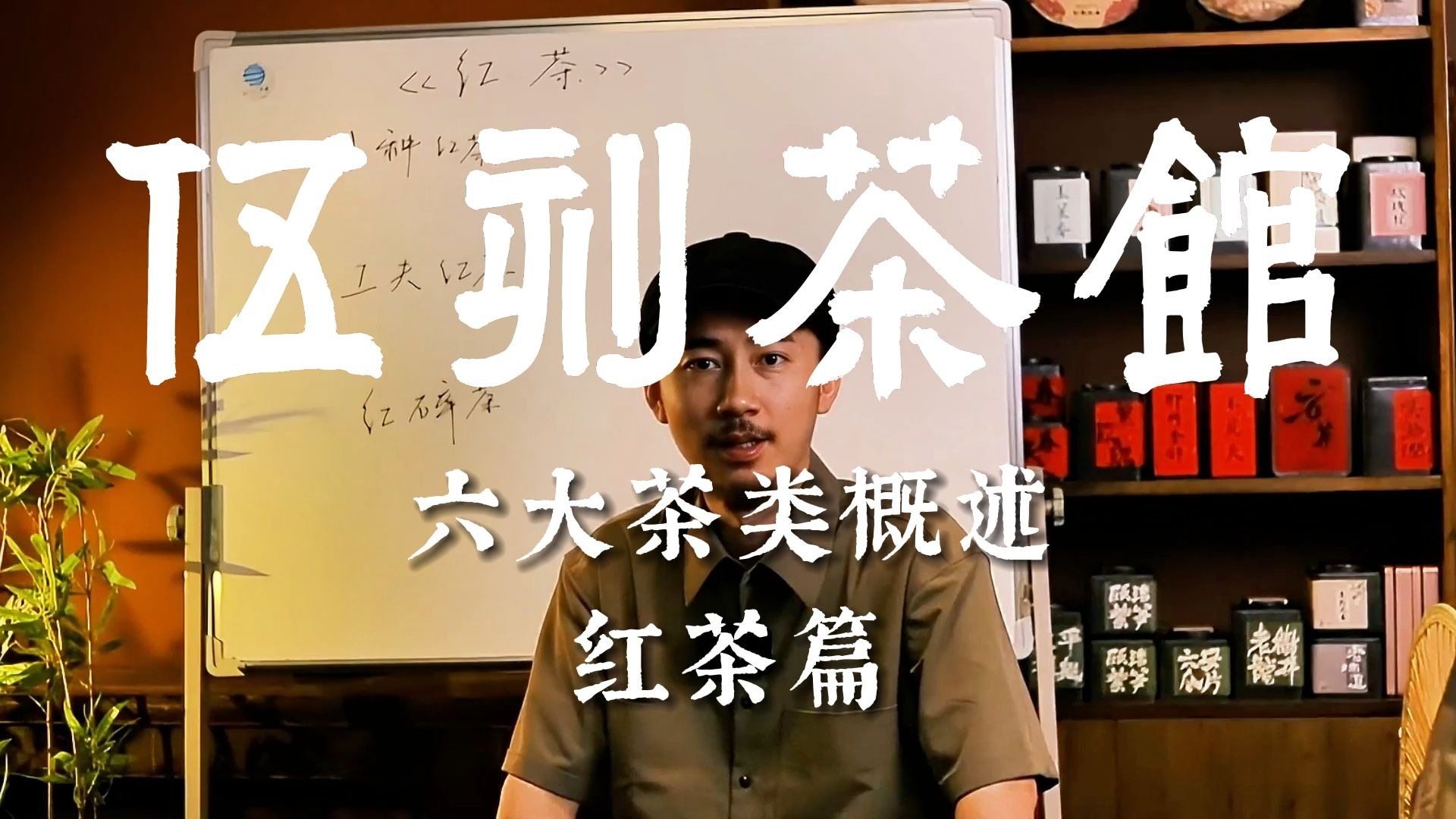 红茶是怎么来的？一个视频给你讲透！