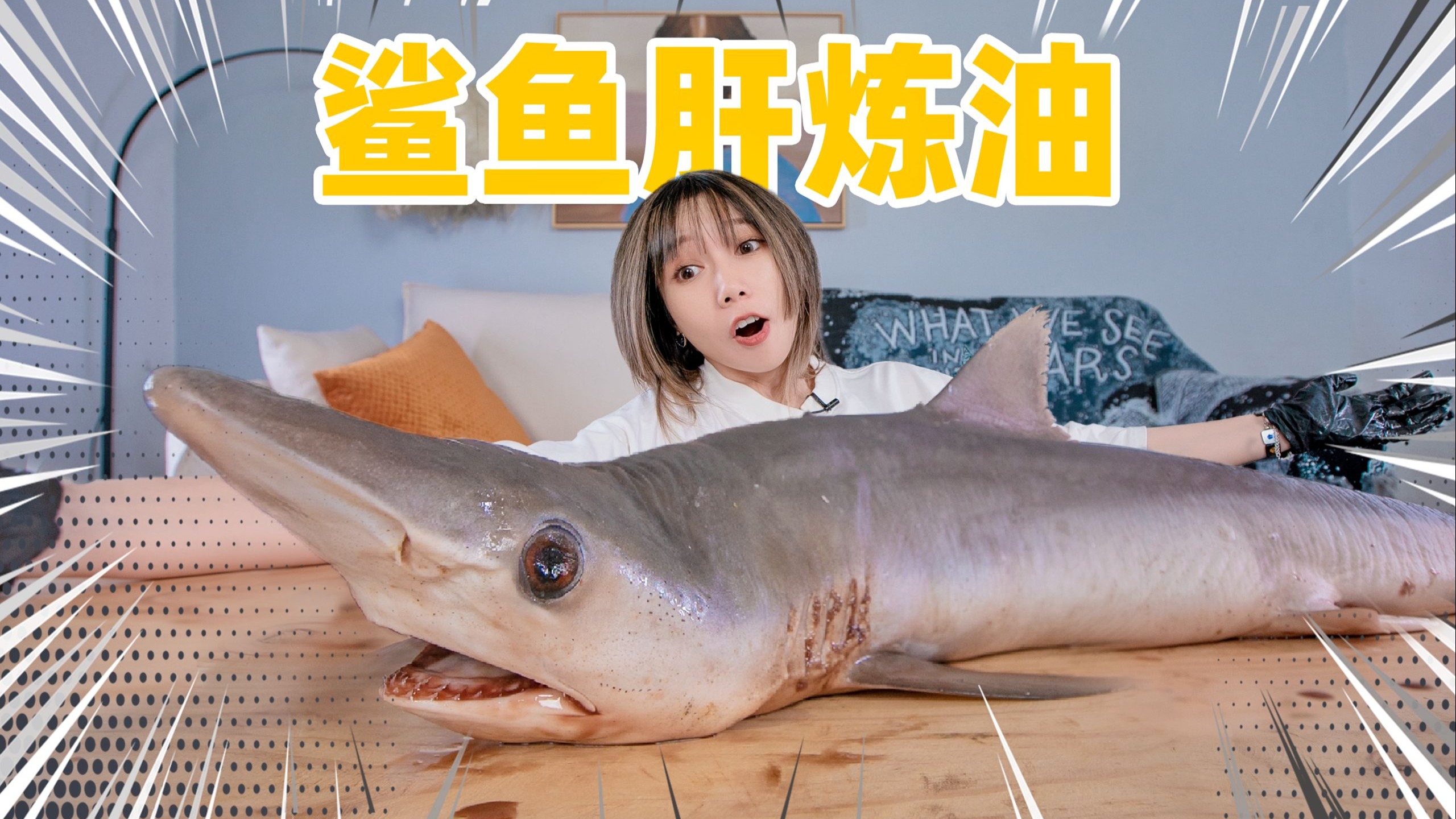 抓一只鲨鱼！能炼多少鱼肝油？！