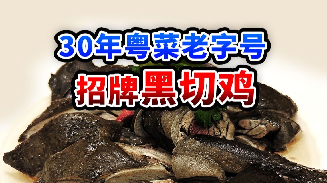 广州30年粤菜老字号，道道菜不踩雷 | 沙龙酒家【肉老师探店】