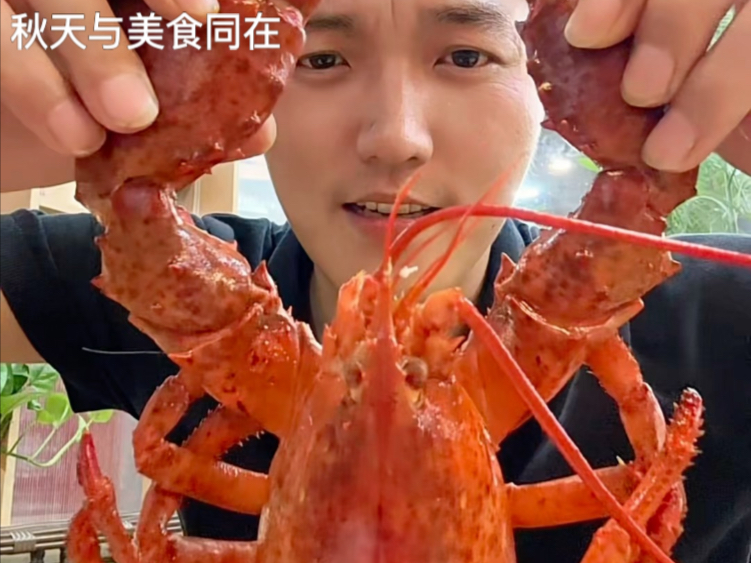 别让生活麻木了向往，一个人也可以活出生活的浪漫！列气！