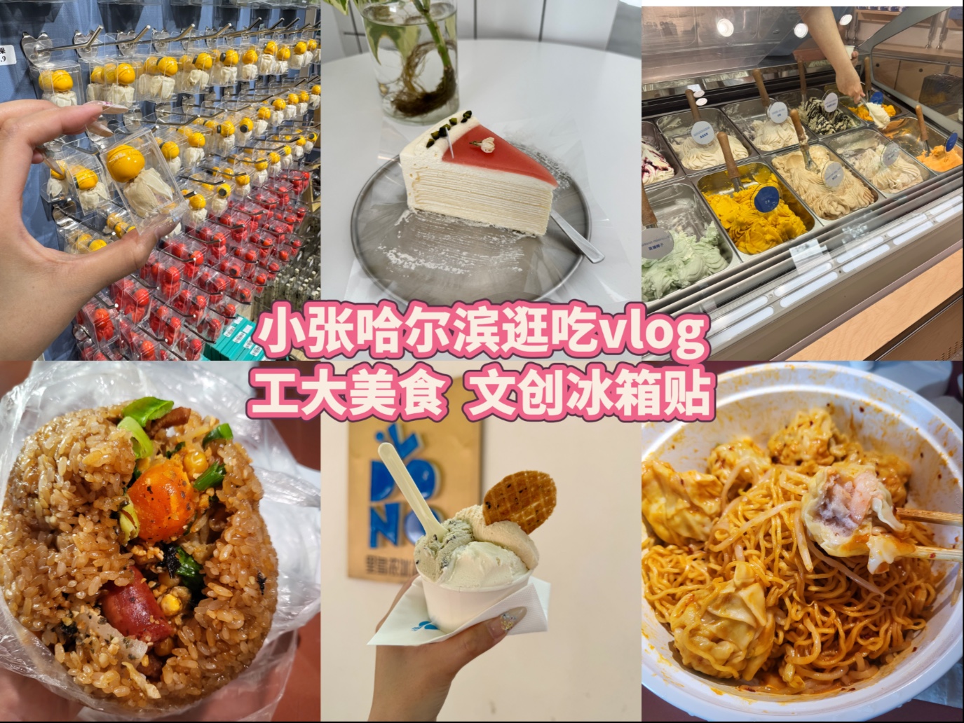 小张哈尔滨逛吃vlog/工大美食超香糯米饭/冰淇淋/茉莉千层/文