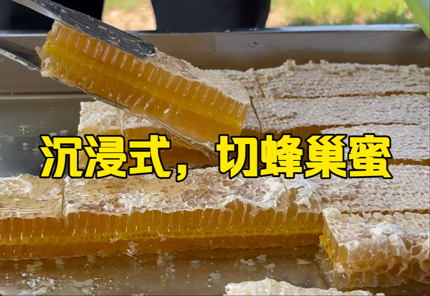 今天在切蜂巢蜜，想着明天上架巢蜜，但这几天温度太高了，担心运输