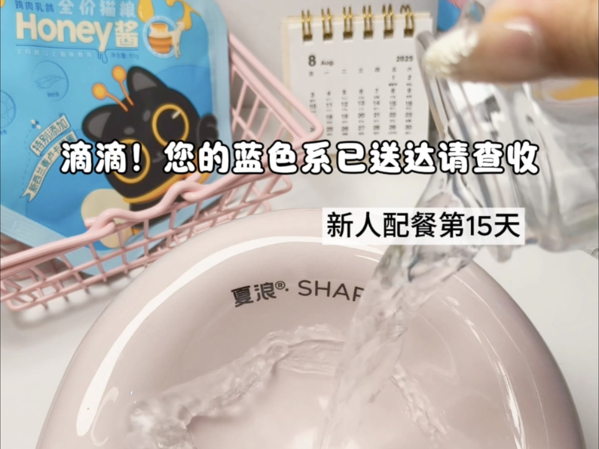 新人挑战当配餐博主第15天！自我感觉良好