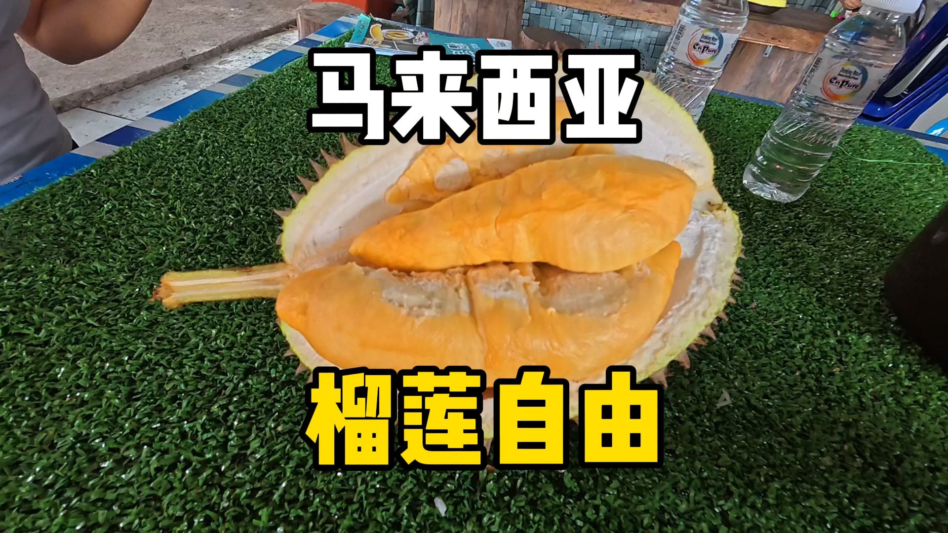在马来西亚槟城浮罗山背吃榴莲，每开一颗都是王炸！