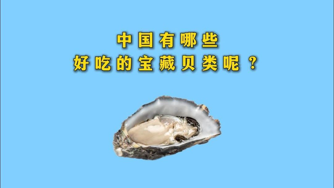 中国有哪些好吃的宝藏贝类呢？