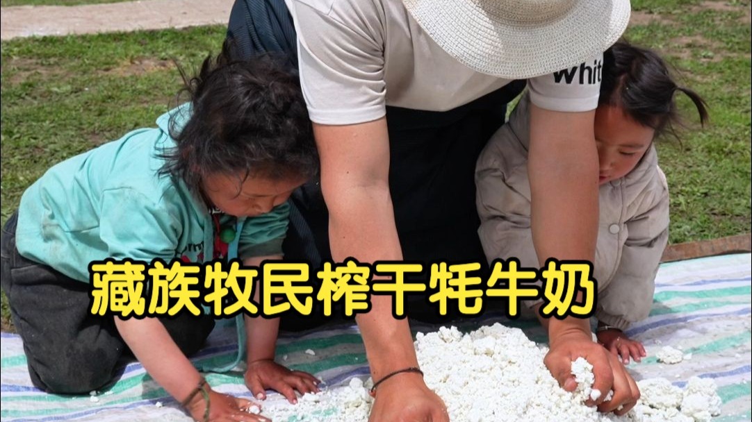 牦牛奶的营养价值是怎么被藏族牧民榨取干净的？酥油、奶渣和乳