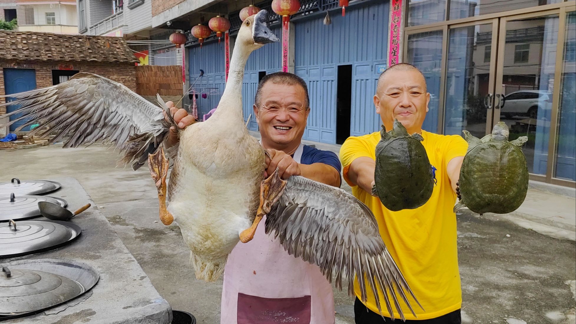自家养5年的老鹅，炖上6只甲鱼，农村10人喝酒吃肉真过瘾