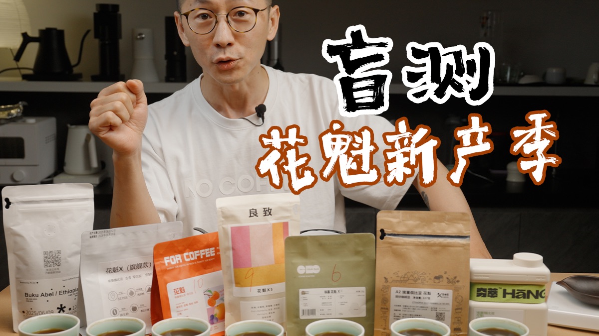 一年一度花魁咖啡豆盲测！我又可以了！