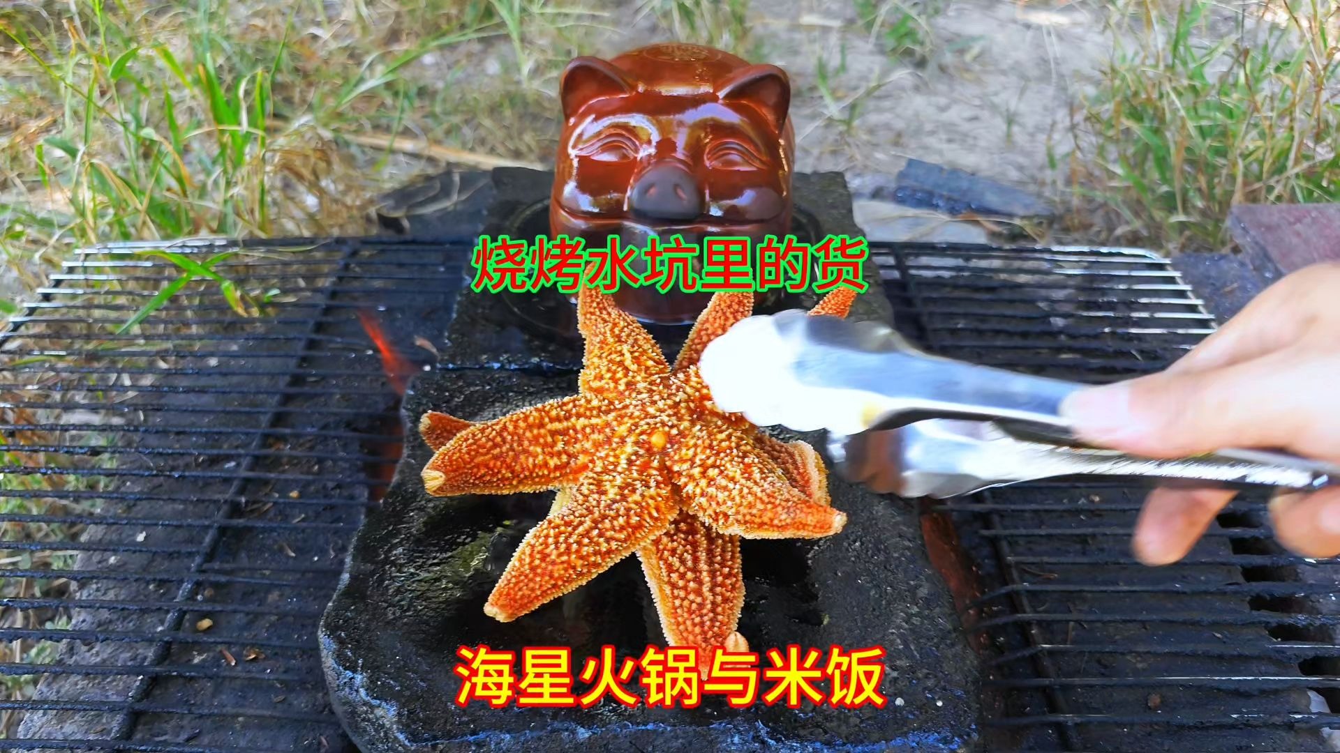 水坑里捡了2个海星，放石板上做一锅海鲜火锅一锅米饭，太好吃了