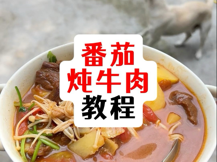 番茄炖牛肉教程。