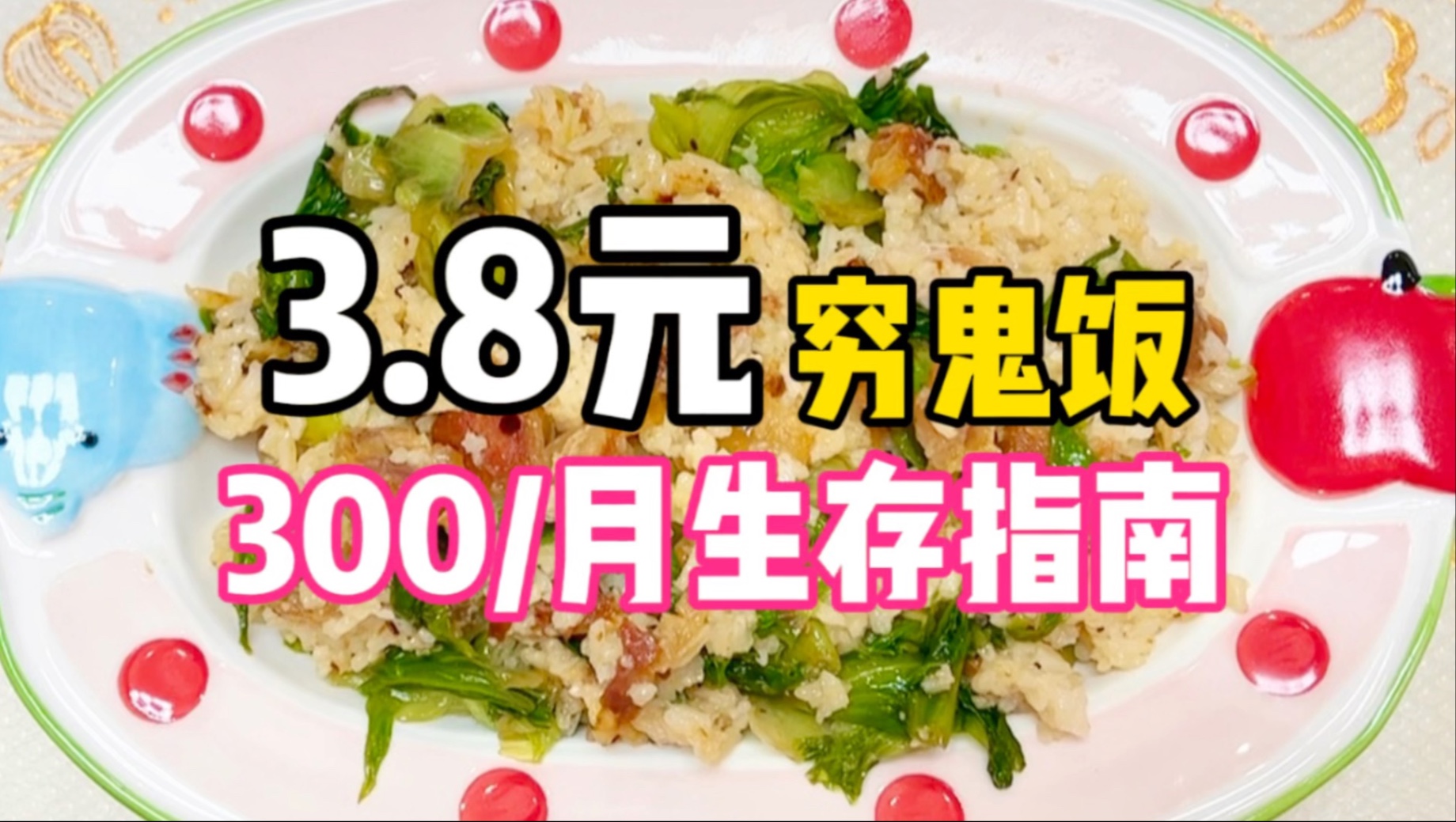 3.8元穷鬼饭！95后女生躺平835天省钱指南！菜饭～