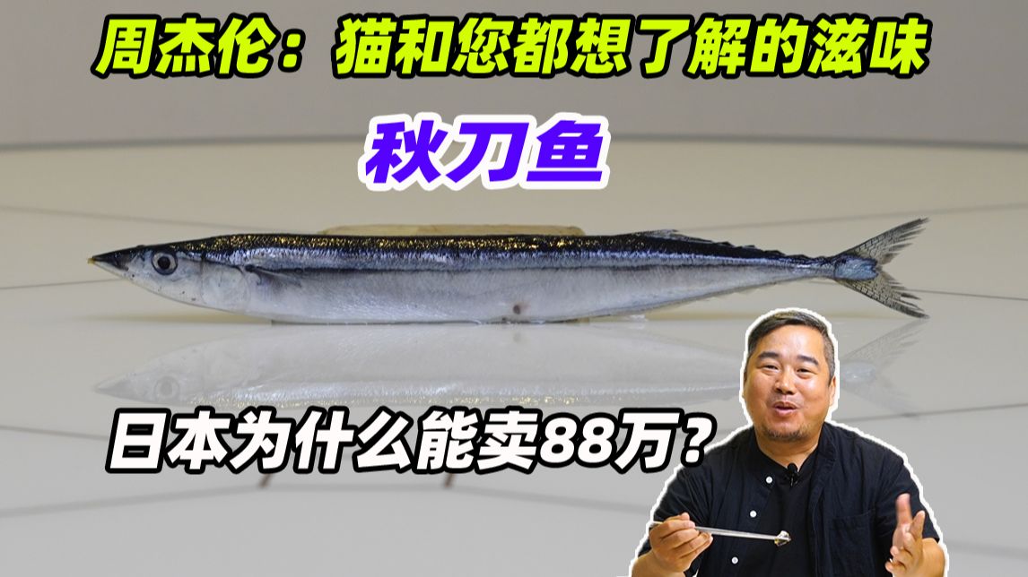 周杰伦“猫和您都想了解的秋刀鱼”究竟是何来头，在日本为什么